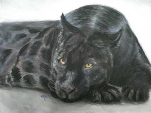 Panther
