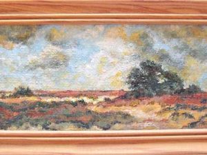 Drents heidelandschap